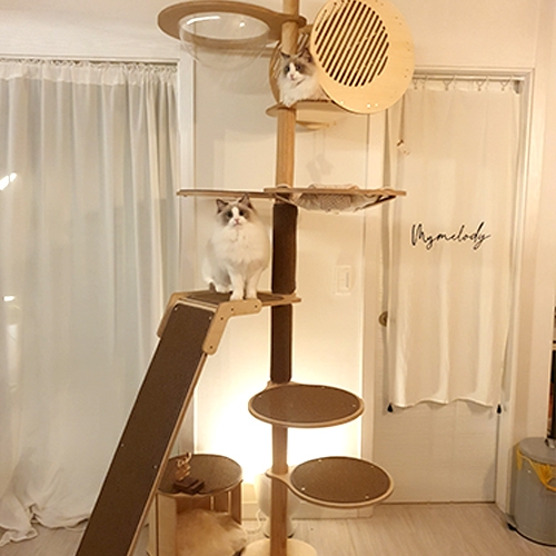 머든제작소]캣타워 펠리스